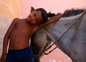 enfant:cheval